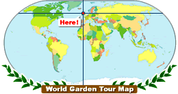 世界地図