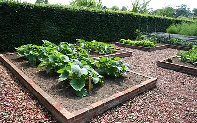 第16回 ビギナーズ必見 コンパクトに作るミニ野菜のミニガーデン Gardening Life 菜園 ガーデン倶楽部