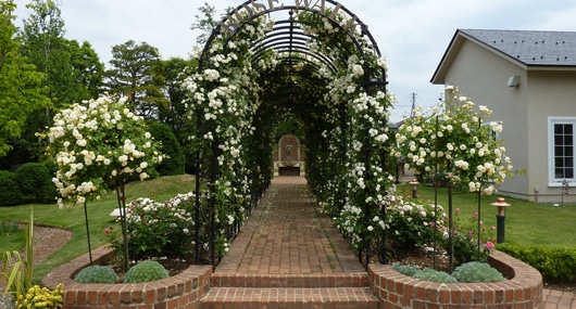 第24回 ローズアーチのある庭 アーチをプラスしてワンランク上のガーデンに Gardening Life 菜園 ガーデン倶楽部