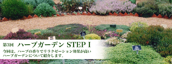 第3回 ハーブガーデン Step1 ベストガーデンプラン集 菜園 ガーデン倶楽部