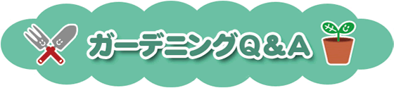 ガーデニングＱ＆Ａ