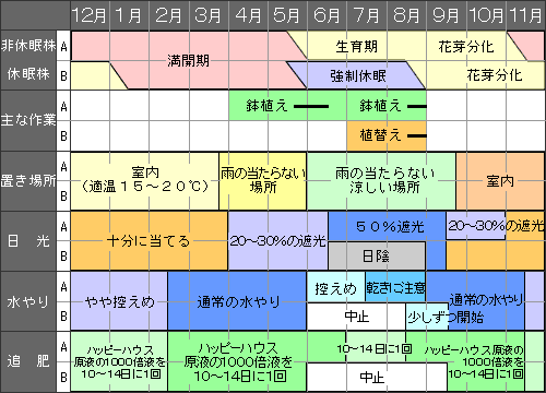 シクラメンの育て方 Howto情報