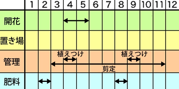 月桂樹 ローレル の育て方 Howto情報 ホームセンター