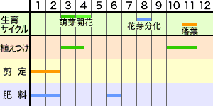 モモの育て方 Howto情報