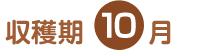 n 10