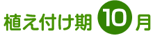 植え付け期 10月