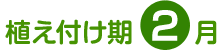 植え付け期 2月