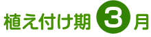植え付け期 3月