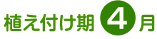 植え付け期 4月