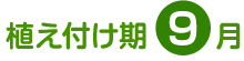 植え付け期 9月