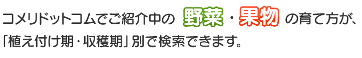 コメリドットコムでご紹介中の、野菜・果物の育て方が、「名前・植え付け期・収穫期」別で検索できます。
