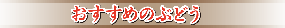おすすめのぶどう