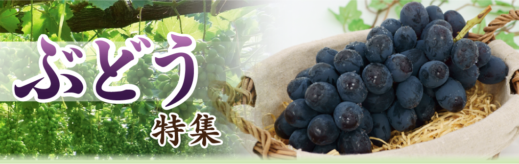 ぶどう特集