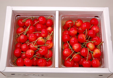 紅秀峰（べにしゅうほう）