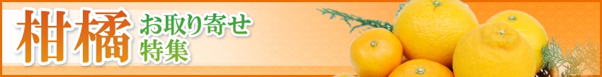 柑橘お取り寄せ 特集