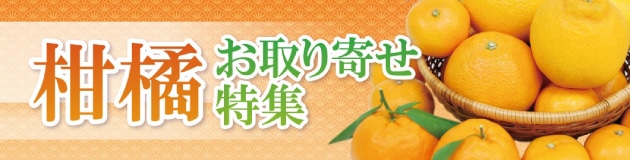 柑橘特集
