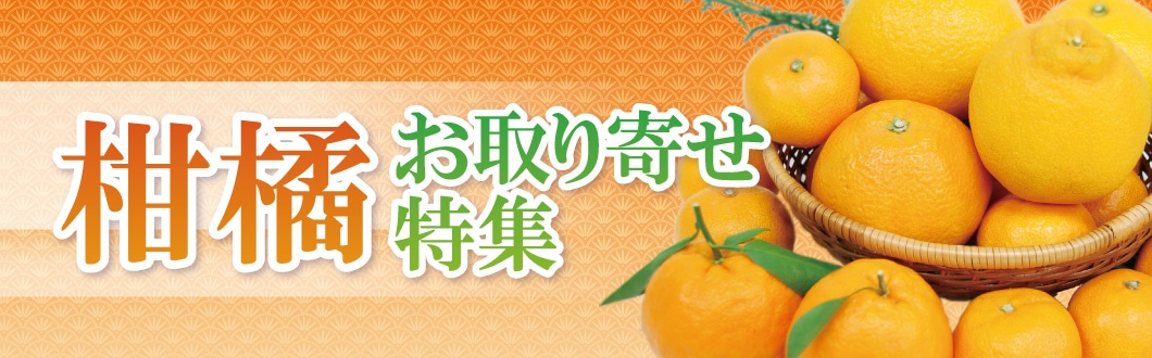 柑橘 お取り寄せ特集
