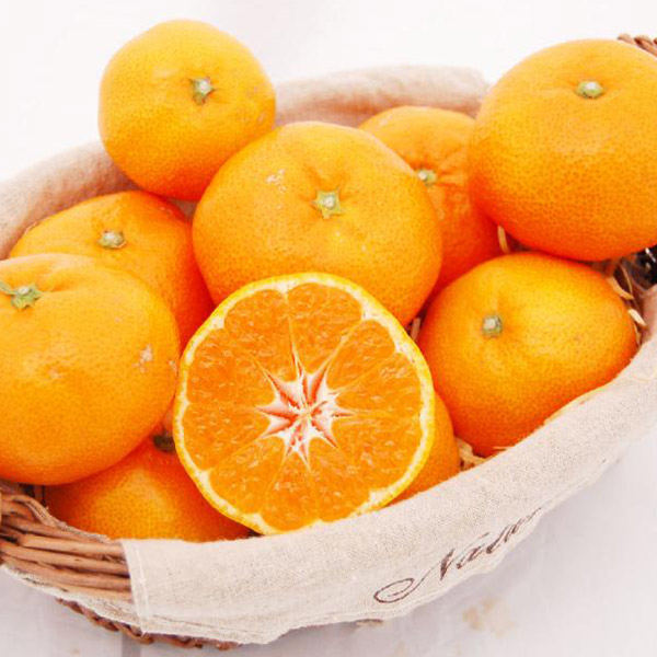 ���Q���Y �승20�������p