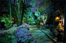 お庭ライトアップ画像