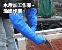 水産加工作業・漁獲作業