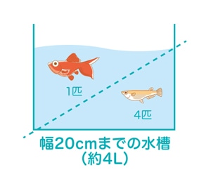 水槽選びのポイント