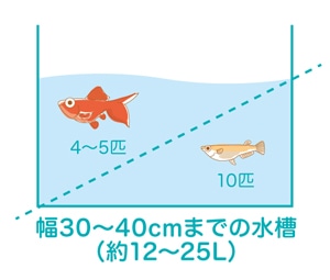 水槽選びのポイント