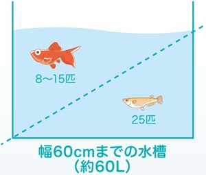水槽選びのポイント