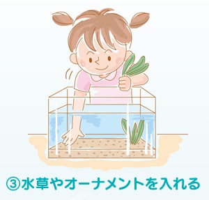 3.水槽やオーナメントを入れる