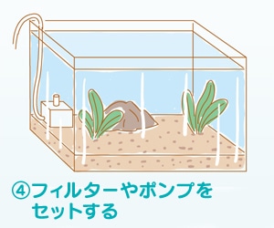 4.フィルターやポンプをセットする