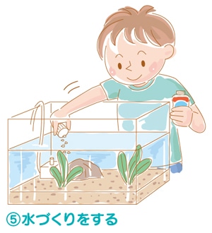 5.水づくりをする