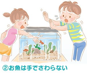 2.お魚は手で触らないで