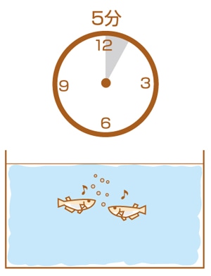 4.エサの与え過ぎは禁物!エサの量について