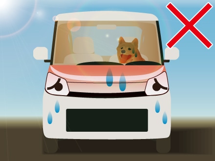 ワンちゃんの健康管理