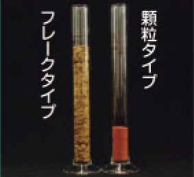 初めての熱帯魚飼育