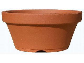 駄温　浅鉢　８号　０１５