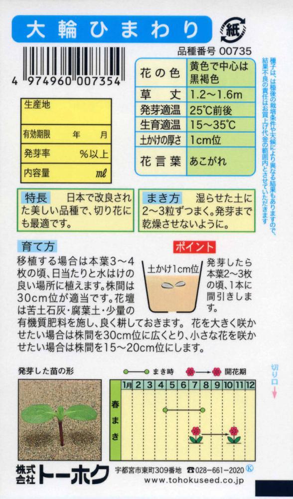 ヒマワリ種子　大輪ひまわり