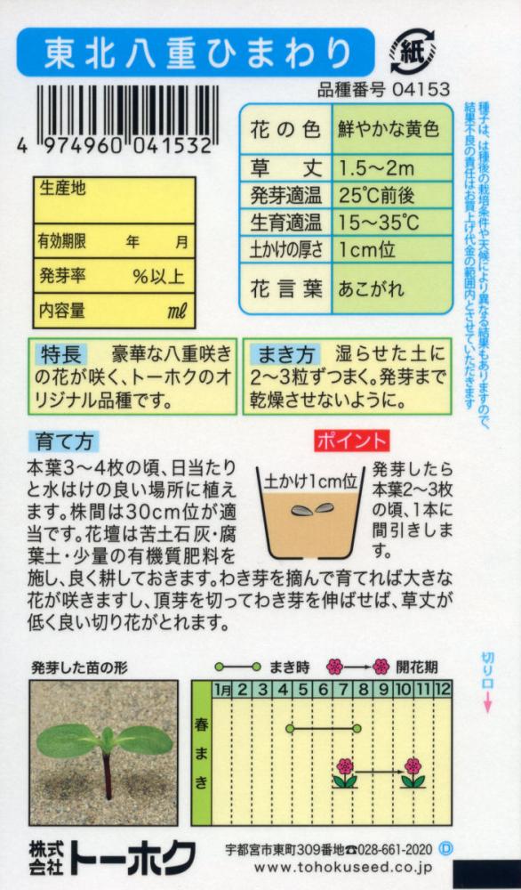 ヒマワリ種子　東北八重ひまわり