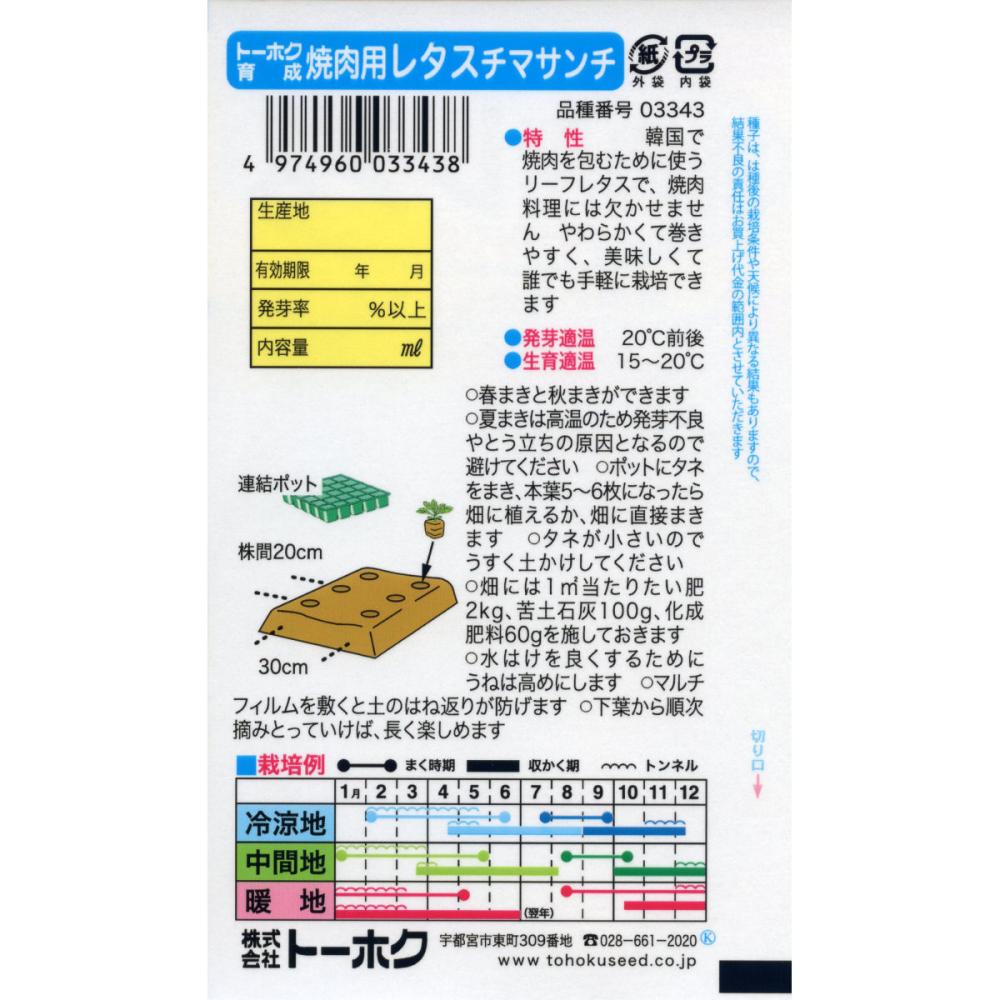 レタス種子　焼肉用チマサンチ