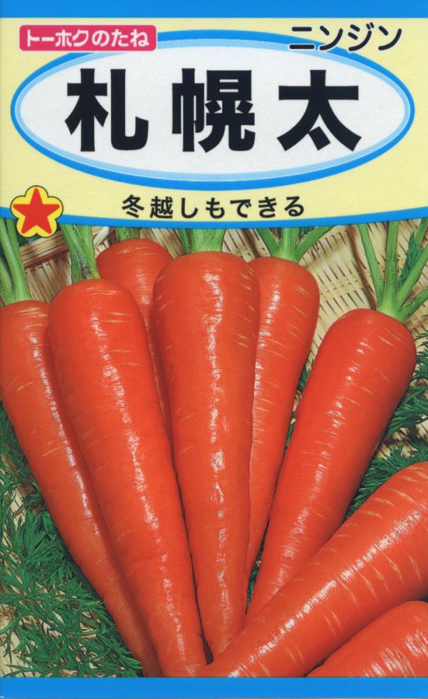 ニンジン種子　札幌太