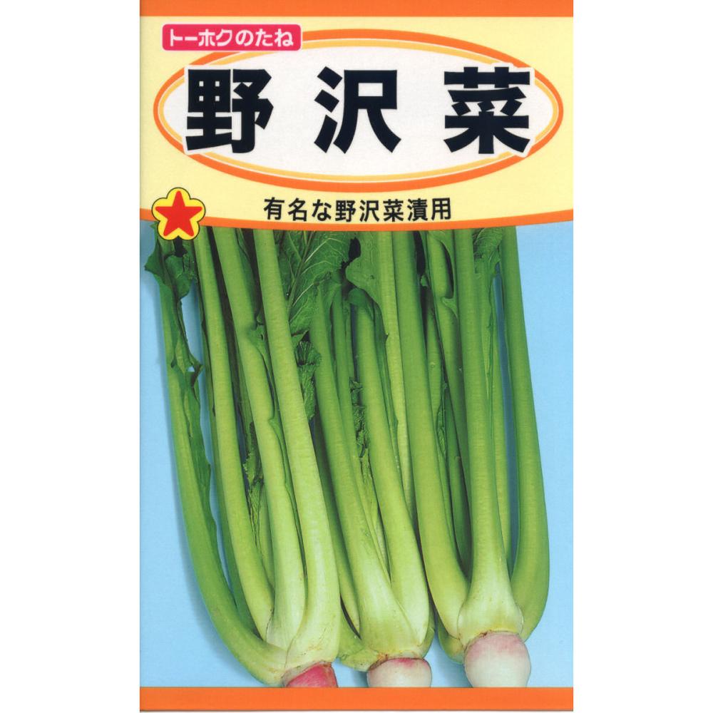 野沢菜