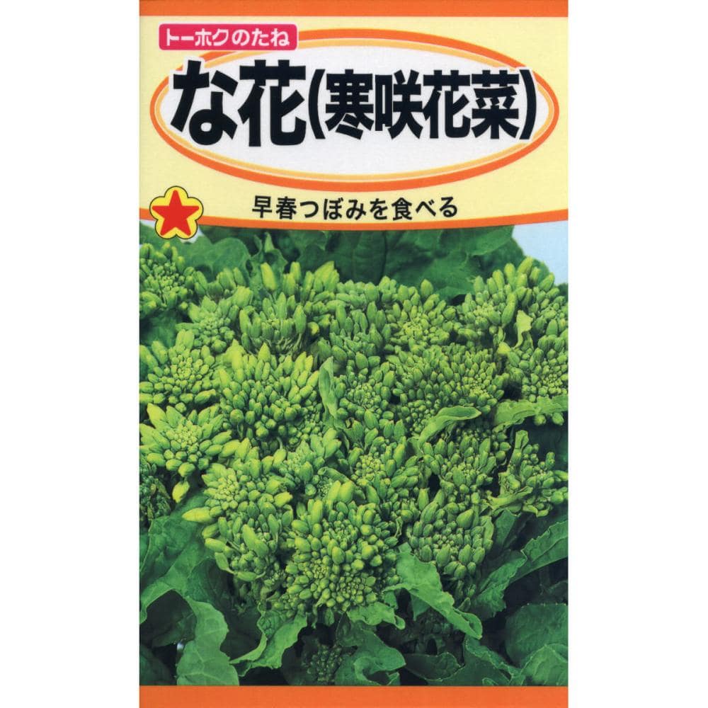 な花　（寒咲花菜）