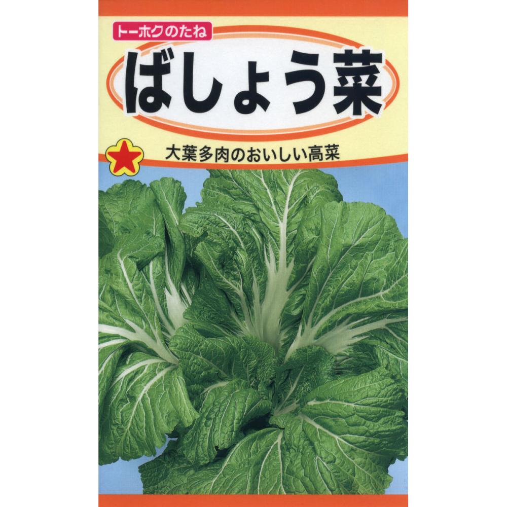 ばしょう菜