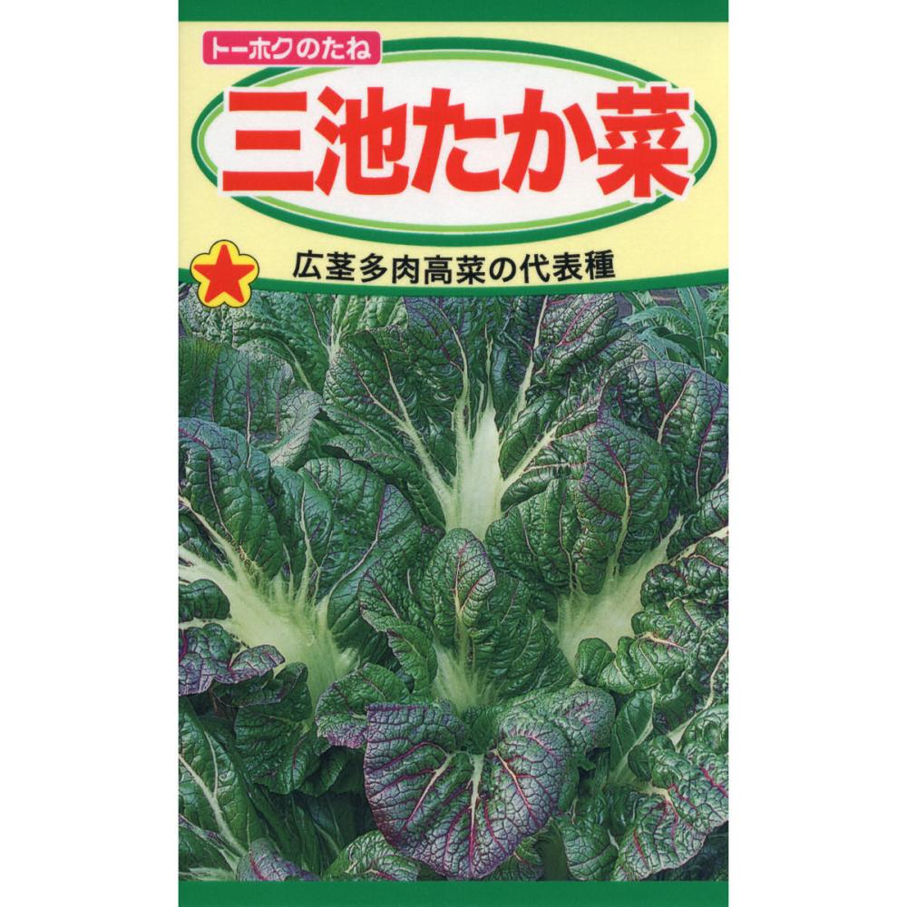 三池たか菜