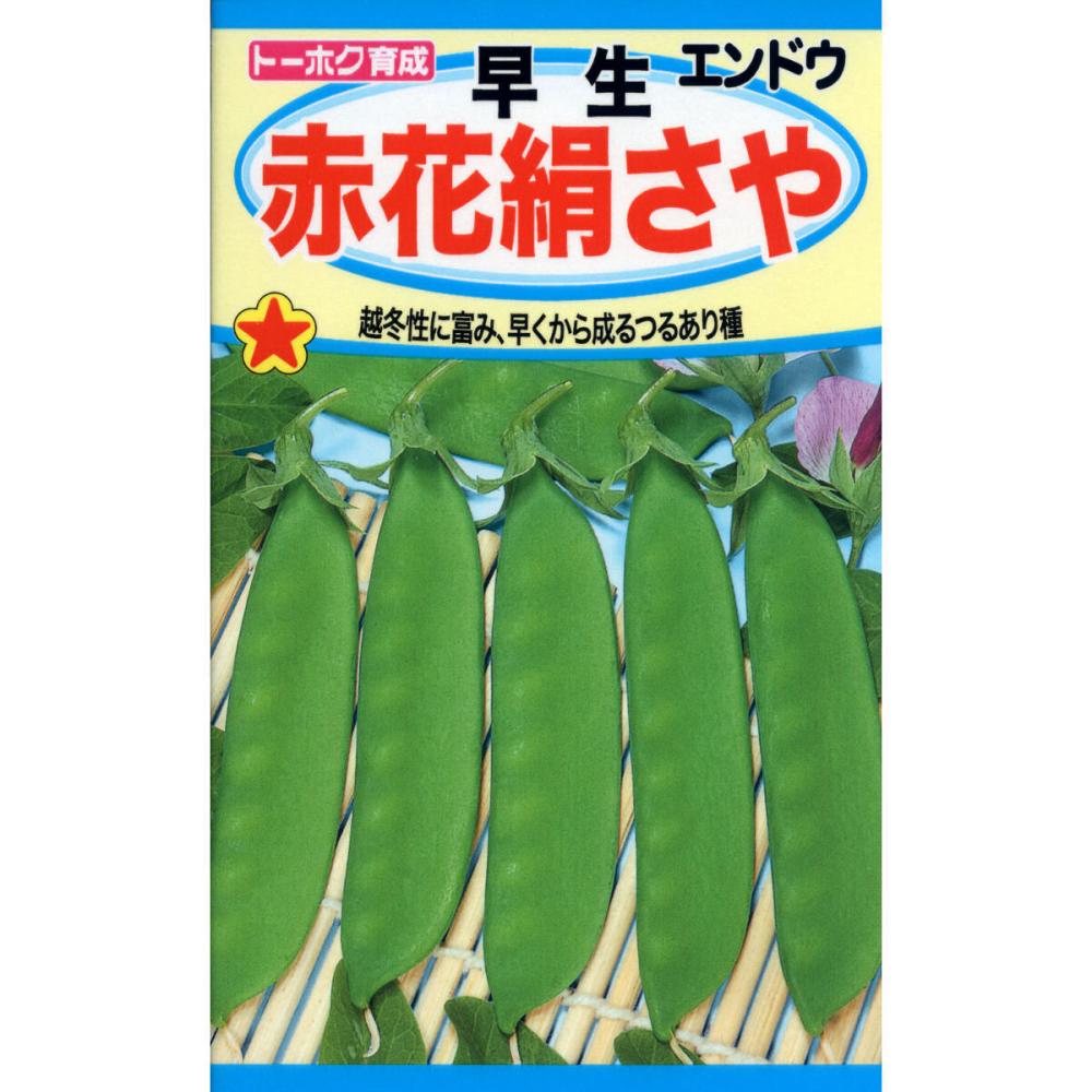 Ｔｈ　早生赤花絹さや