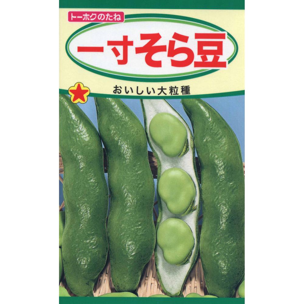 一寸そら豆