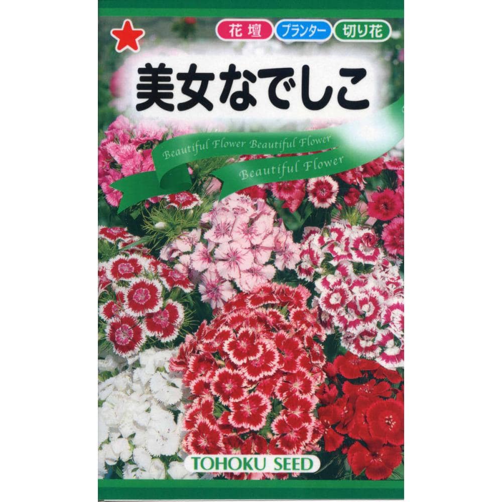 ナデシコ種子 美女なでしこ の通販 ホームセンター コメリドットコム