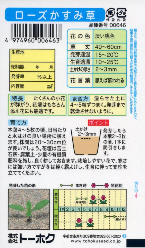 草花種子　ローズかすみ草