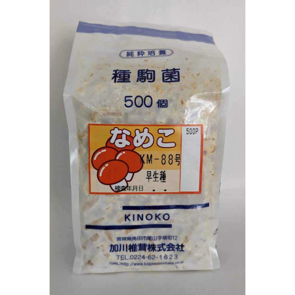 【キノコ予約】　なめこ種駒　ＫＭ－８８号　早生種　５００Ｐ　【申込期限：２月２２日】