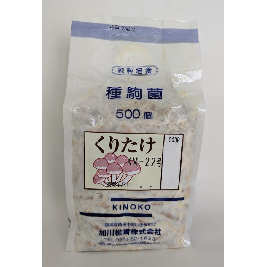【キノコ予約】　くりたけ種駒　５００Ｐ　【申込期限：２月２２日】