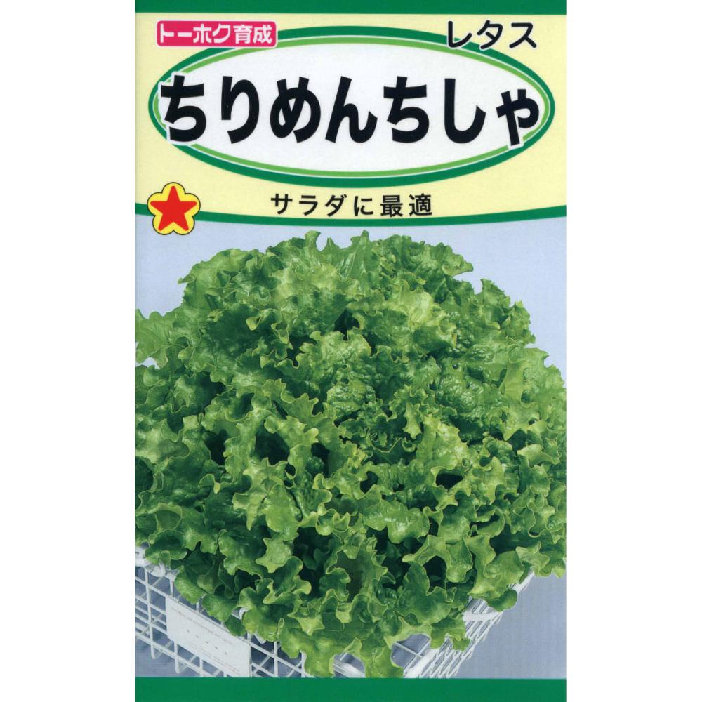 ちりめんちしゃ